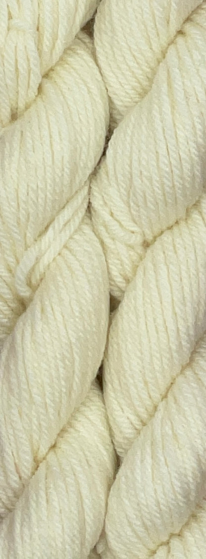 Classic Tonal Worsted 20g Skein