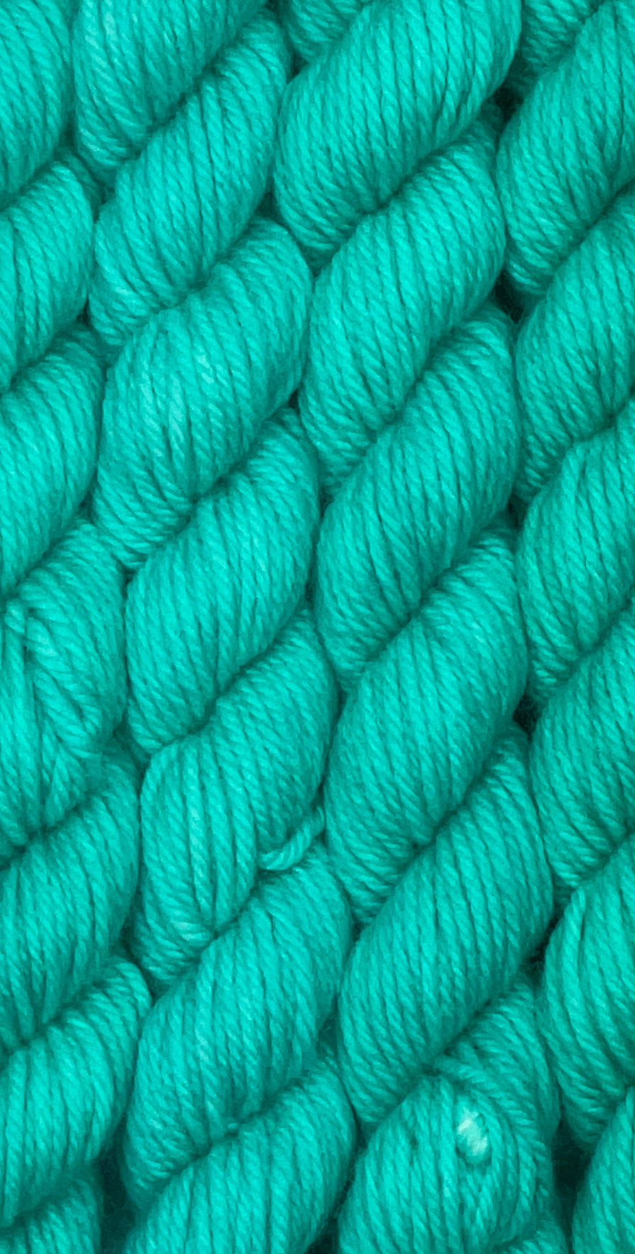 Classic Tonal Worsted 20g Skein