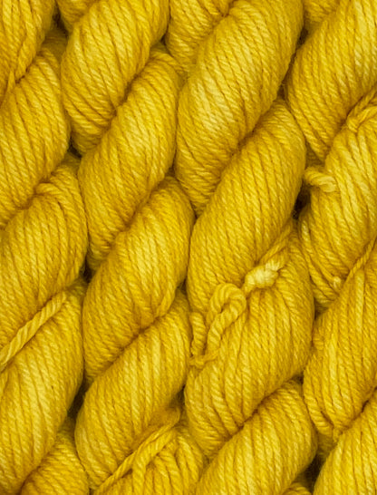 Classic Tonal Worsted 20g Skein