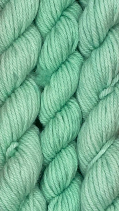 Classic Tonal Worsted 20g Skein