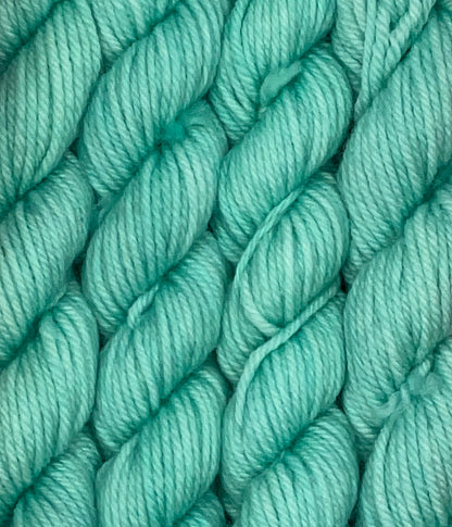 Classic Tonal Worsted 20g Skein