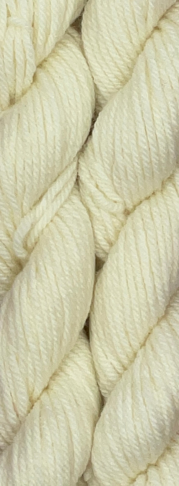 Classic Tonal DK 20g Skein